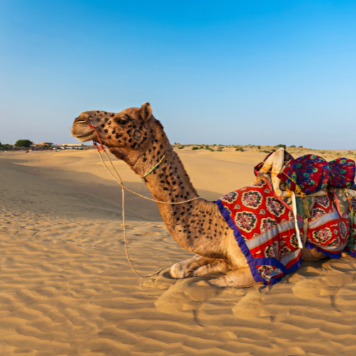 Jaisalmer to sam sand dunes taxi services